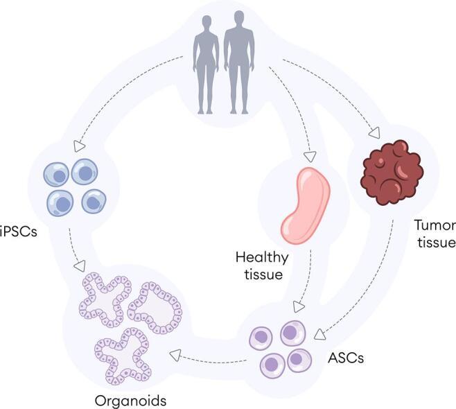 https://cdn.ncbi.nlm.nih.gov/pmc/blobs/9869/12020925/8b0caca5623b/ga1.jpg