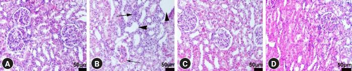 https://cdn.ncbi.nlm.nih.gov/pmc/blobs/986a/10562075/17cf474b2879/kja-23207f2.jpg