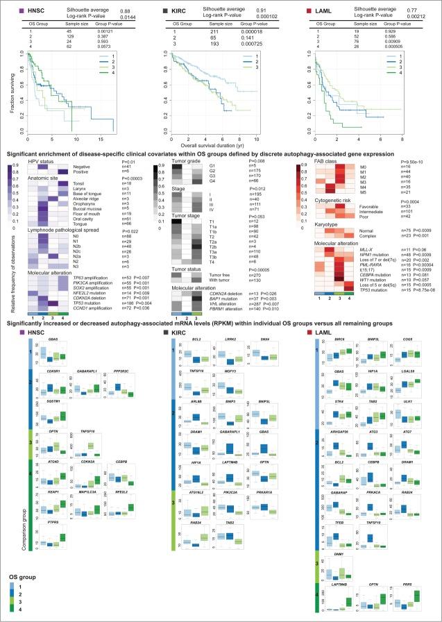 https://cdn.ncbi.nlm.nih.gov/pmc/blobs/986c/4590660/961ed6381b82/kaup-11-09-1067362-g005.jpg