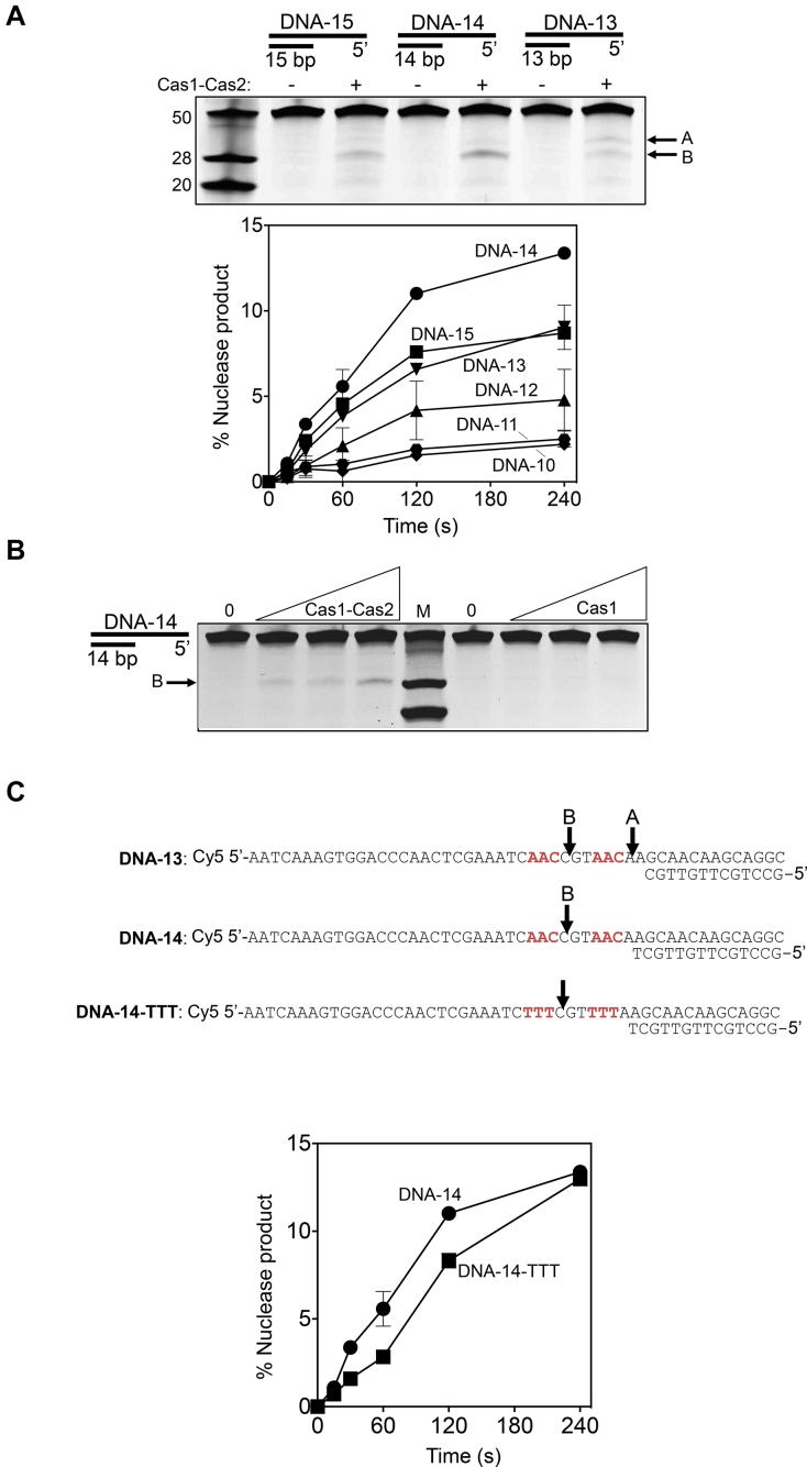 https://cdn.ncbi.nlm.nih.gov/pmc/blobs/986d/6212769/51a963397681/gky799fig5.jpg