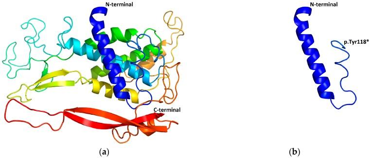 https://cdn.ncbi.nlm.nih.gov/pmc/blobs/986e/5042395/d9c782936d27/genes-07-00065-g005.jpg