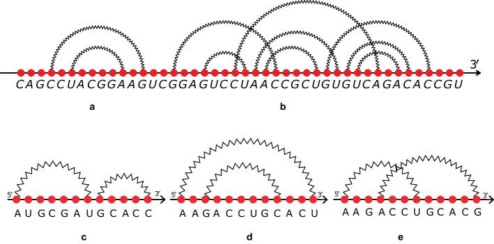 https://cdn.ncbi.nlm.nih.gov/pmc/blobs/986f/10268371/7794aebe1071/12859_2023_5362_Fig1_HTML.jpg