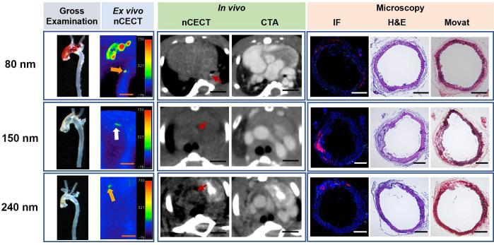 https://cdn.ncbi.nlm.nih.gov/pmc/blobs/986f/11905125/f46ed7e458dd/thnov15p3462g003.jpg