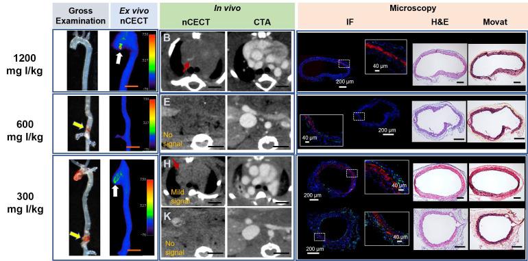 https://cdn.ncbi.nlm.nih.gov/pmc/blobs/986f/11905125/fec367d70dda/thnov15p3462g004.jpg