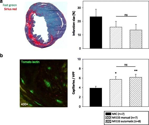 https://cdn.ncbi.nlm.nih.gov/pmc/blobs/9871/5303262/c6d5670c1a13/13287_2016_467_Fig6_HTML.jpg