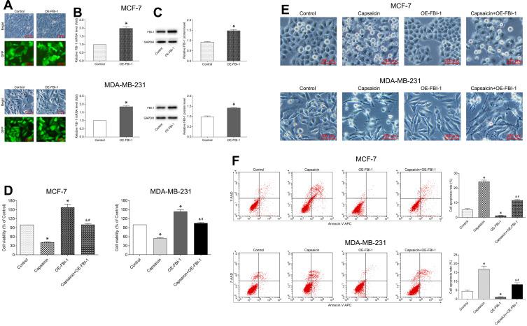 https://cdn.ncbi.nlm.nih.gov/pmc/blobs/9871/7811378/8be055f7768f/DDDT-15-125-g0003.jpg