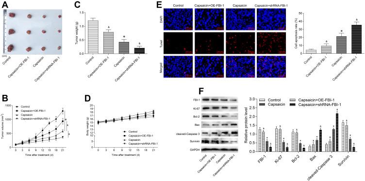 https://cdn.ncbi.nlm.nih.gov/pmc/blobs/9871/7811378/a0108588e199/DDDT-15-125-g0007.jpg