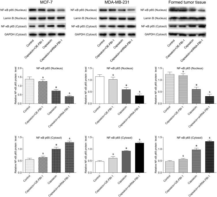https://cdn.ncbi.nlm.nih.gov/pmc/blobs/9871/7811378/a5ccd3a5e74a/DDDT-15-125-g0008.jpg