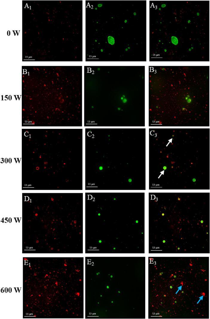 https://cdn.ncbi.nlm.nih.gov/pmc/blobs/9872/11024657/8aa50e1668fd/gr7.jpg