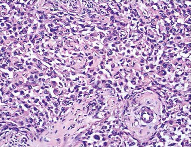 https://cdn.ncbi.nlm.nih.gov/pmc/blobs/9873/7812529/8ee65c438bfa/MR-19-42763-g005.jpg