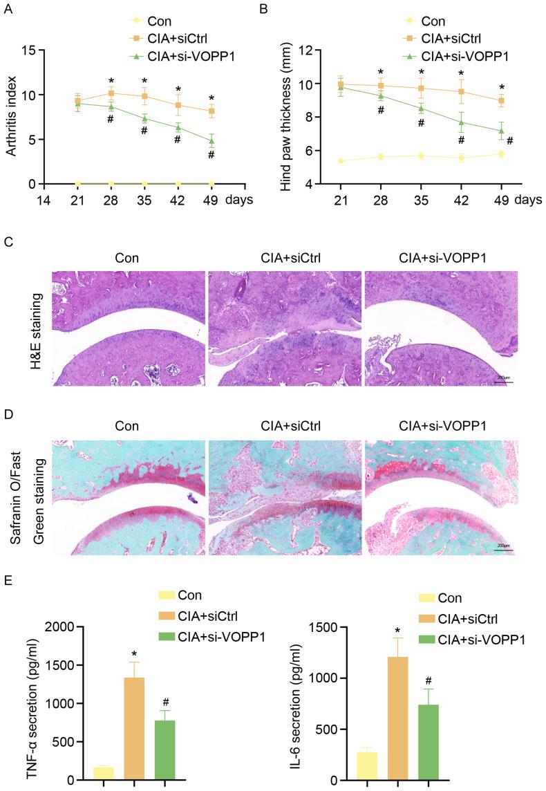https://cdn.ncbi.nlm.nih.gov/pmc/blobs/9874/12327419/5a98c8a6844b/JIR-18-10341-g0007.jpg