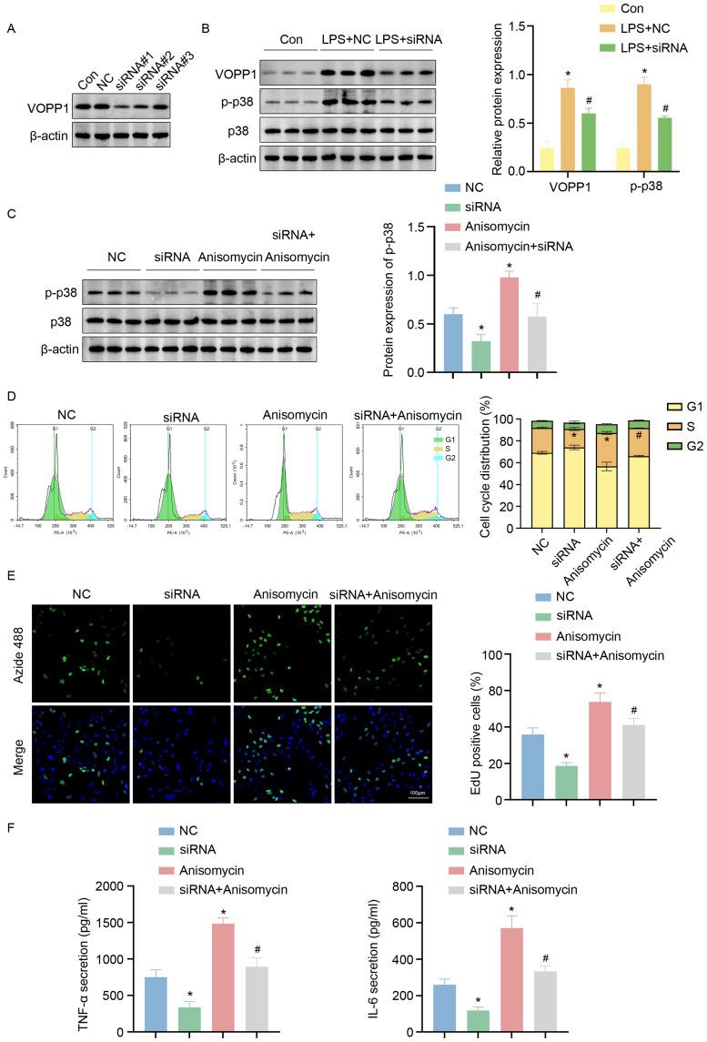 https://cdn.ncbi.nlm.nih.gov/pmc/blobs/9874/12327419/f4f9cca08ad7/JIR-18-10341-g0006.jpg
