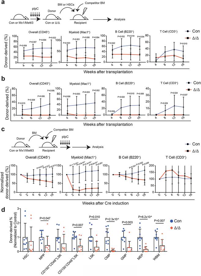 https://cdn.ncbi.nlm.nih.gov/pmc/blobs/9877/6556891/c5ec4f7a3796/nihms-1525419-f0003.jpg
