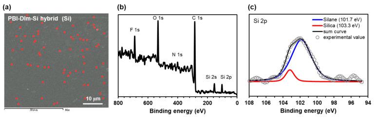 https://cdn.ncbi.nlm.nih.gov/pmc/blobs/9877/8456347/e112783ecbdf/polymers-13-02864-g005.jpg