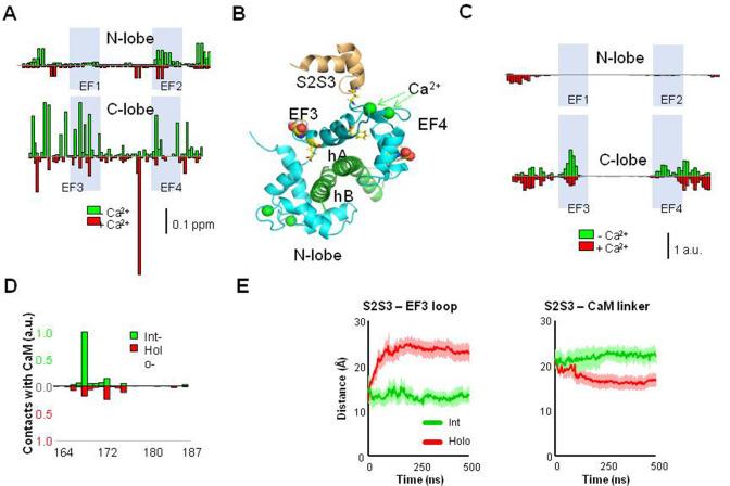 https://cdn.ncbi.nlm.nih.gov/pmc/blobs/9879/9988260/0027e99cf972/elife-81961-fig4.jpg