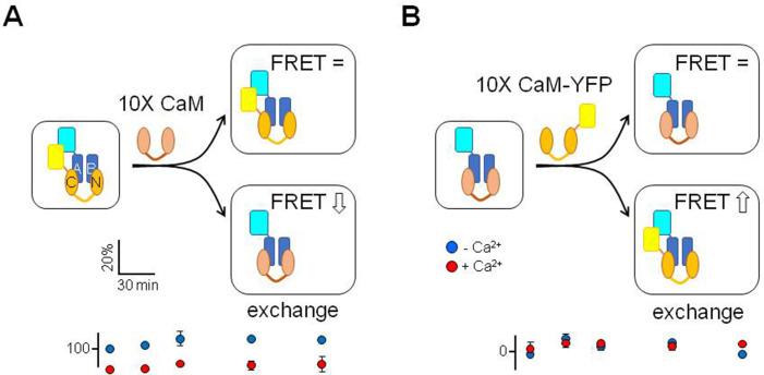 https://cdn.ncbi.nlm.nih.gov/pmc/blobs/9879/9988260/47d1c93c773a/elife-81961-fig2-figsupp1.jpg