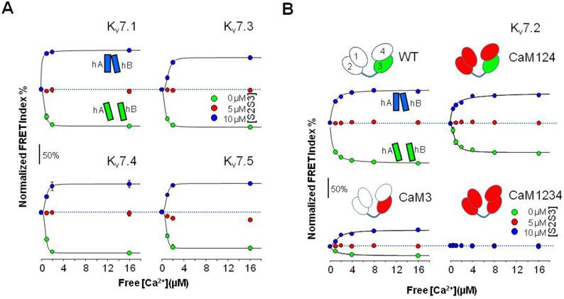 https://cdn.ncbi.nlm.nih.gov/pmc/blobs/9879/9988260/4ed3893309dc/elife-81961-fig5-figsupp1.jpg