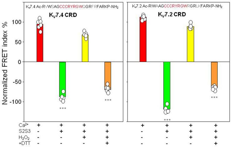 https://cdn.ncbi.nlm.nih.gov/pmc/blobs/9879/9988260/53c993a8d2ee/elife-81961-fig6.jpg