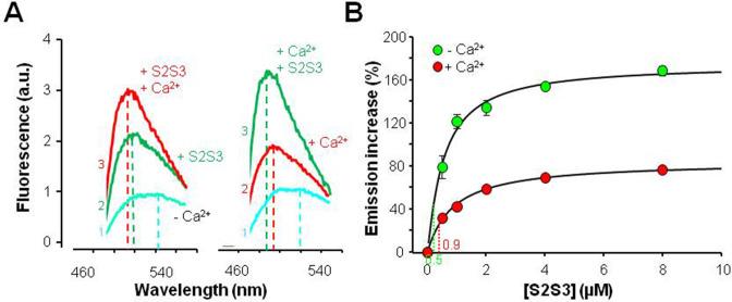 https://cdn.ncbi.nlm.nih.gov/pmc/blobs/9879/9988260/7ec0fa077304/elife-81961-fig3.jpg