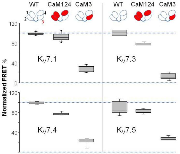https://cdn.ncbi.nlm.nih.gov/pmc/blobs/9879/9988260/e2af6f6bbdf4/elife-81961-fig2-figsupp2.jpg