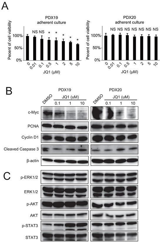 https://cdn.ncbi.nlm.nih.gov/pmc/blobs/987a/5308665/4cd497a240e9/oncotarget-07-61469-g002.jpg