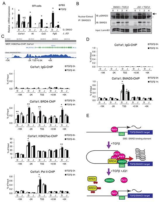 https://cdn.ncbi.nlm.nih.gov/pmc/blobs/987a/5308665/f4ad25093542/oncotarget-07-61469-g006.jpg