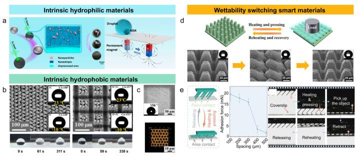 https://cdn.ncbi.nlm.nih.gov/pmc/blobs/987b/12029623/b978bd6c72a6/nanomaterials-15-00573-g003.jpg