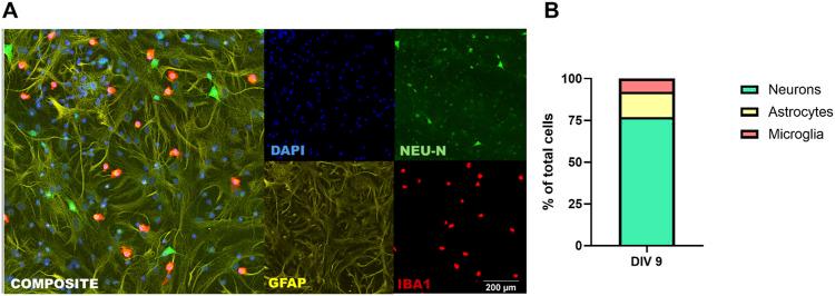 https://cdn.ncbi.nlm.nih.gov/pmc/blobs/987c/11759268/c3a7f091e1a6/ftox-06-1523387-g003.jpg