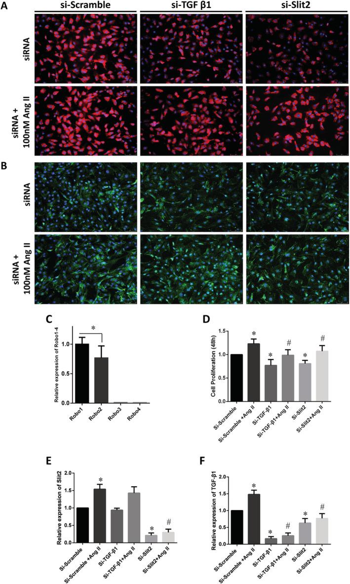https://cdn.ncbi.nlm.nih.gov/pmc/blobs/987c/7835586/212769774cae/EHF2-8-447-g003.jpg