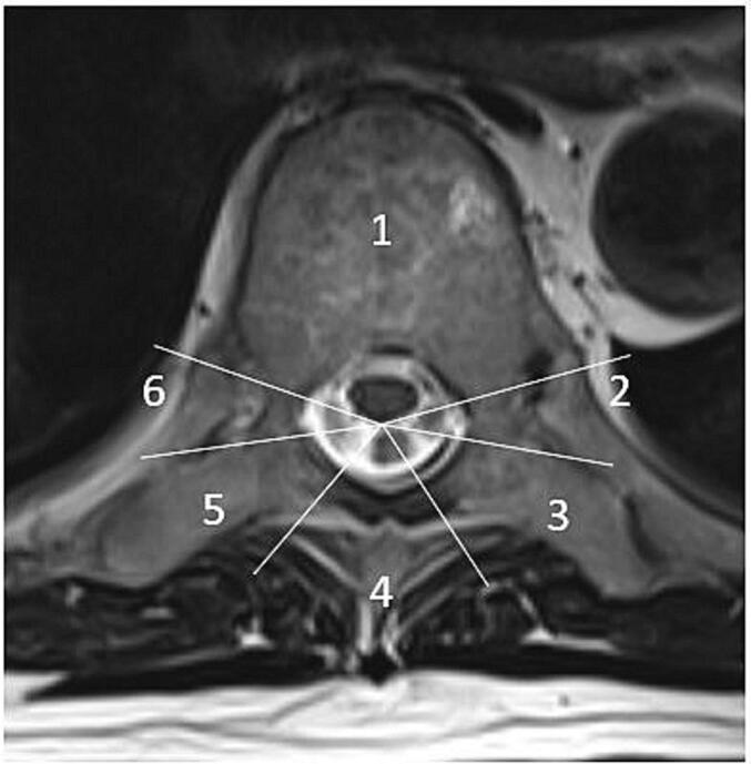 https://cdn.ncbi.nlm.nih.gov/pmc/blobs/987d/10788412/3685475ab648/gr1.jpg
