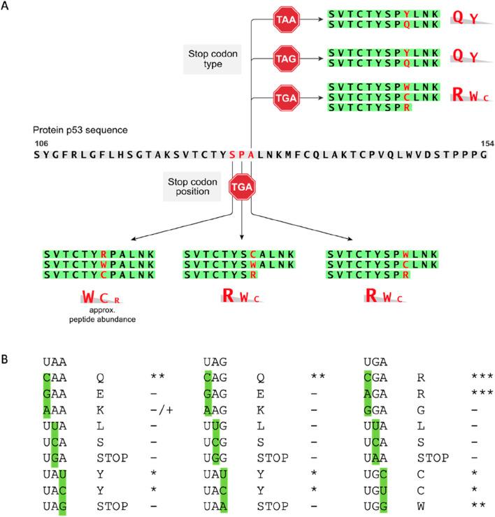 https://cdn.ncbi.nlm.nih.gov/pmc/blobs/987d/11573534/1a7db50bbb2a/fgene-15-1407375-g005.jpg