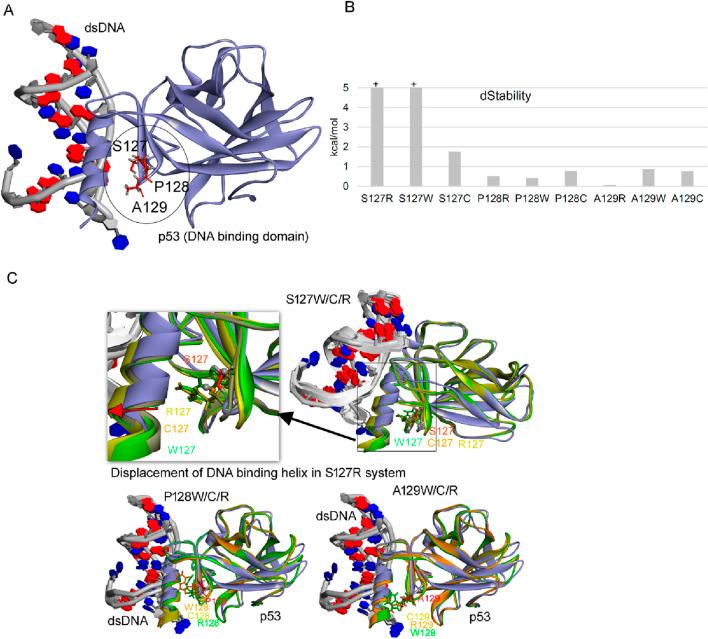 https://cdn.ncbi.nlm.nih.gov/pmc/blobs/987d/11573534/cae77baa012b/fgene-15-1407375-g007.jpg