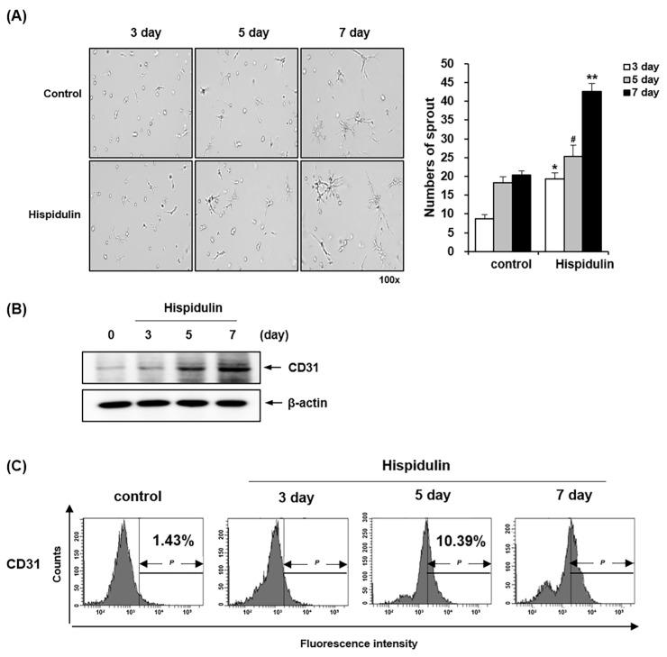 https://cdn.ncbi.nlm.nih.gov/pmc/blobs/987d/11678453/c155e52e4d4f/pharmaceuticals-17-01740-g003.jpg