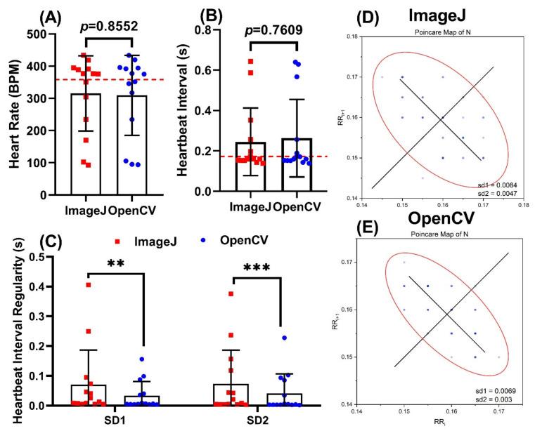 https://cdn.ncbi.nlm.nih.gov/pmc/blobs/987d/8533103/1e4e071c1540/biomolecules-11-01476-g008.jpg