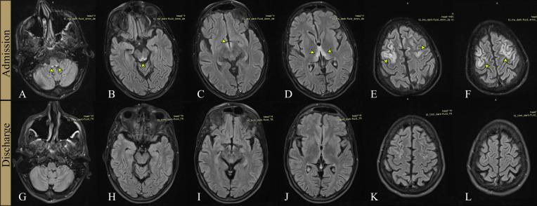 https://cdn.ncbi.nlm.nih.gov/pmc/blobs/9881/11696281/6b7cb2540cf4/fpsyt-15-1499803-g001.jpg