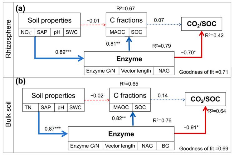 https://cdn.ncbi.nlm.nih.gov/pmc/blobs/9882/12114252/f8dd1f7a957d/microorganisms-13-01049-g006.jpg