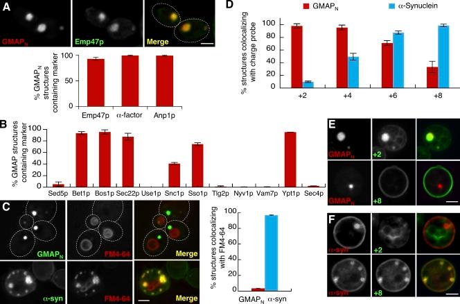 https://cdn.ncbi.nlm.nih.gov/pmc/blobs/9882/3135411/033929057d89/JCB_201011118R_RGB_Fig4.jpg