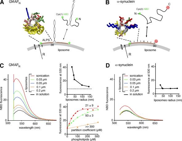 https://cdn.ncbi.nlm.nih.gov/pmc/blobs/9882/3135411/e5b43abefbb7/JCB_201011118R_RGB_Fig2.jpg
