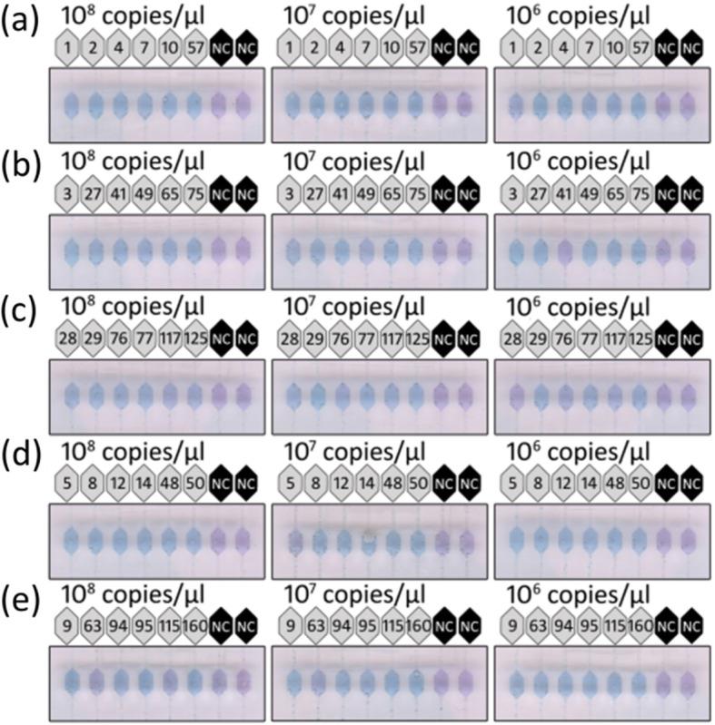 https://cdn.ncbi.nlm.nih.gov/pmc/blobs/9884/7346499/3f88bb9c0361/12985_2020_1373_Fig3_HTML.jpg