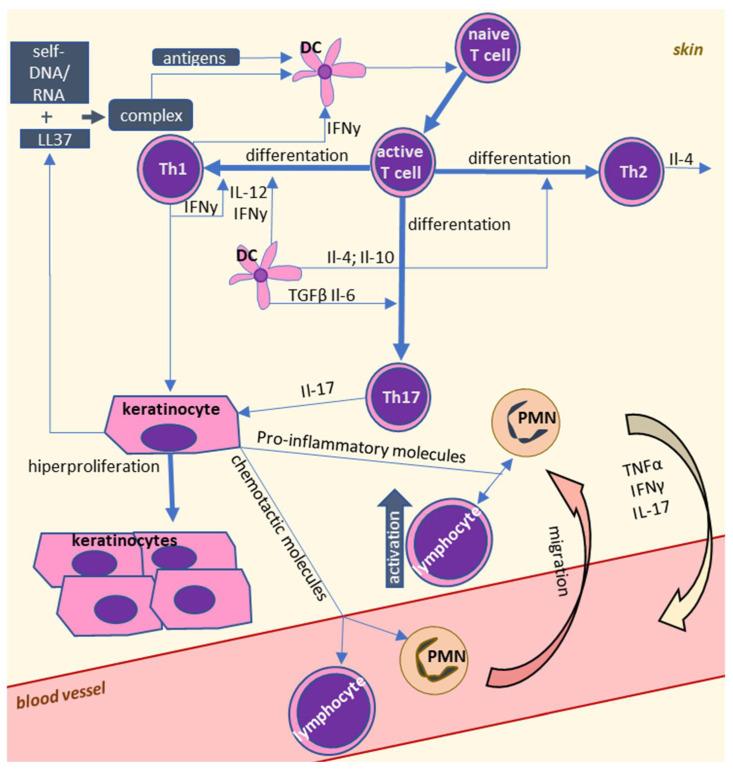 https://cdn.ncbi.nlm.nih.gov/pmc/blobs/9884/7828321/05c786713daa/ijms-22-00723-g001.jpg