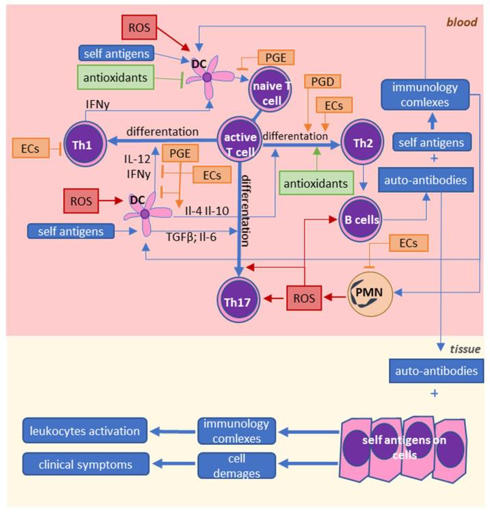 https://cdn.ncbi.nlm.nih.gov/pmc/blobs/9884/7828321/64b4b31a2df0/ijms-22-00723-g004.jpg