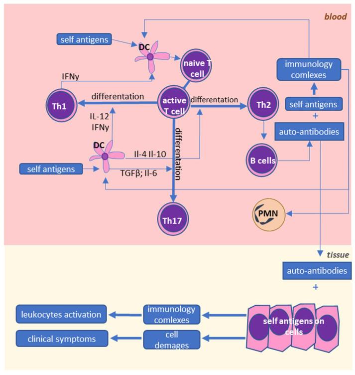 https://cdn.ncbi.nlm.nih.gov/pmc/blobs/9884/7828321/9a4cb06eb99b/ijms-22-00723-g002.jpg