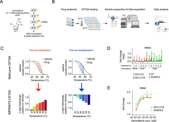 https://cdn.ncbi.nlm.nih.gov/pmc/blobs/9886/12059070/0f14d957703e/41467_2025_59505_Fig1_HTML.jpg