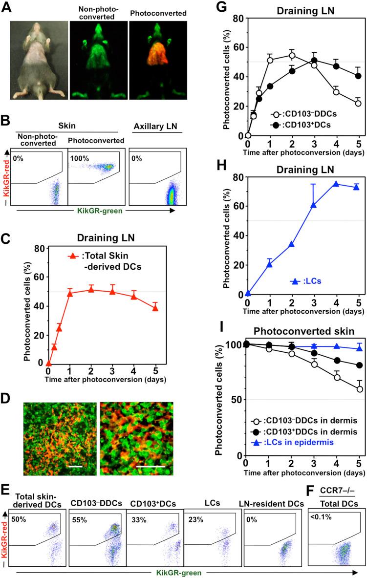 https://cdn.ncbi.nlm.nih.gov/pmc/blobs/9889/4129424/2aee4974b0b7/srep06030-f1.jpg