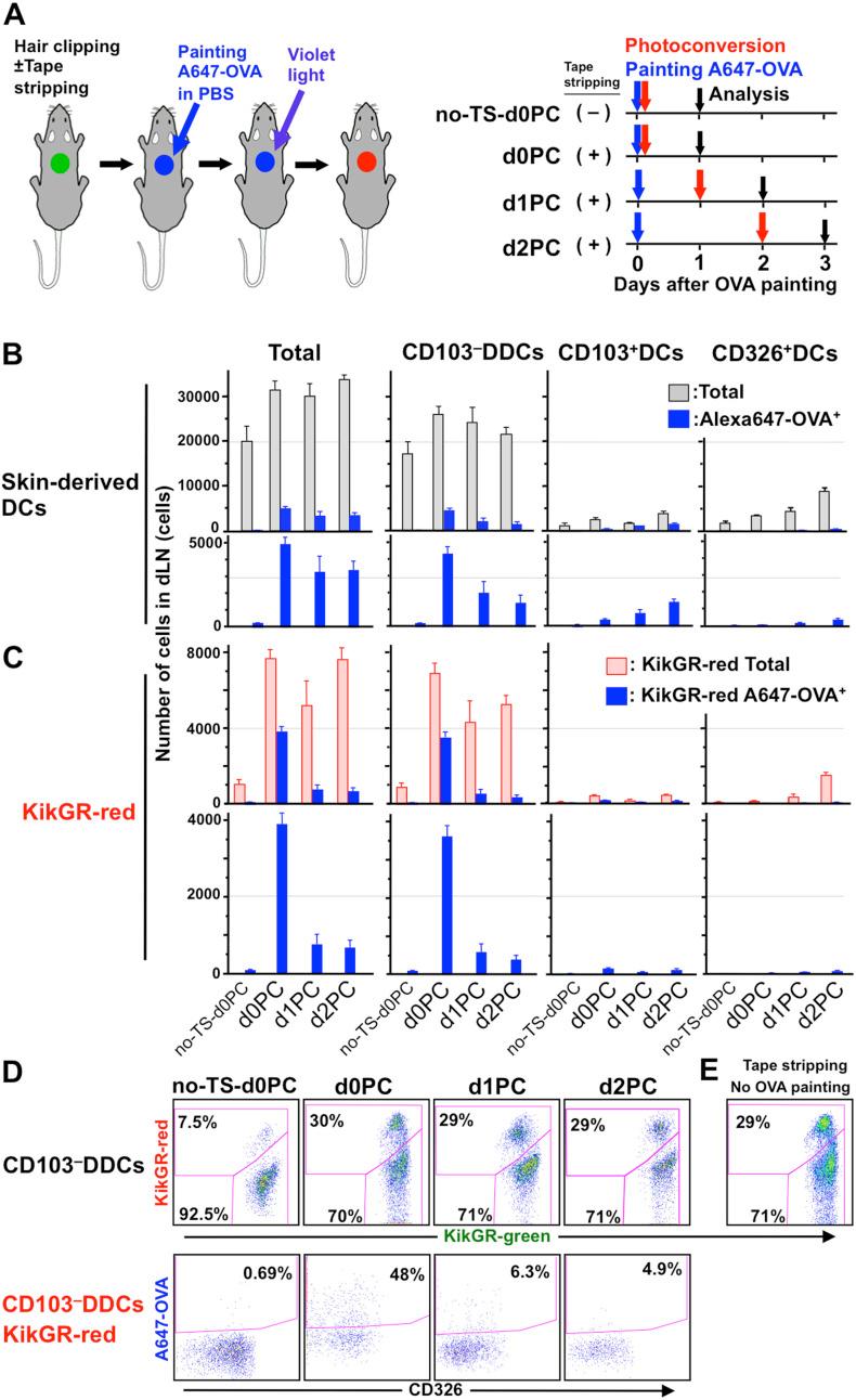 https://cdn.ncbi.nlm.nih.gov/pmc/blobs/9889/4129424/9b83703d5c67/srep06030-f5.jpg