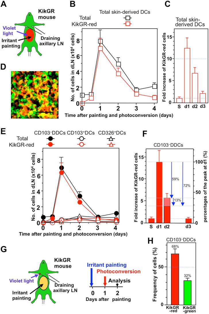 https://cdn.ncbi.nlm.nih.gov/pmc/blobs/9889/4129424/bcdd2fa181f6/srep06030-f4.jpg