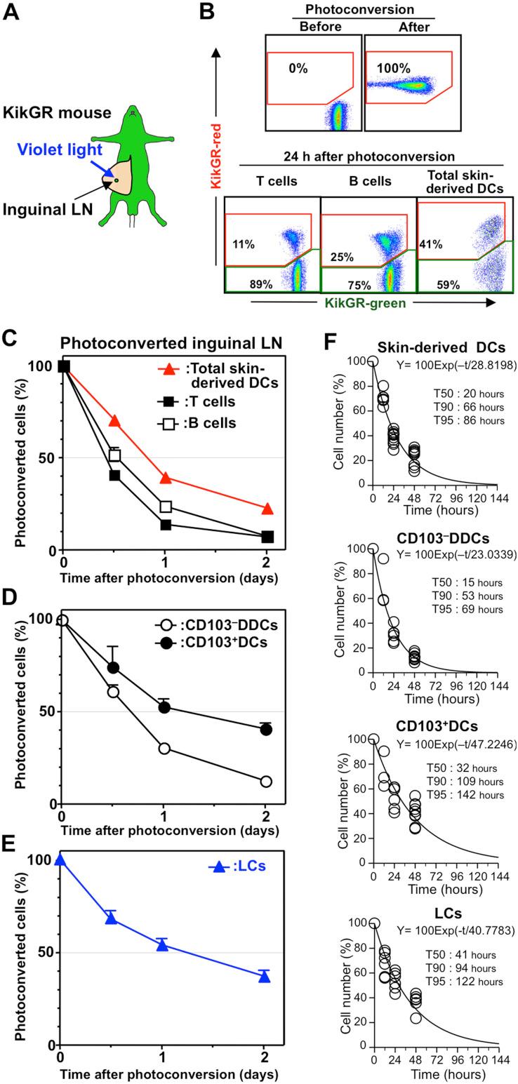 https://cdn.ncbi.nlm.nih.gov/pmc/blobs/9889/4129424/ee8680e56eec/srep06030-f2.jpg