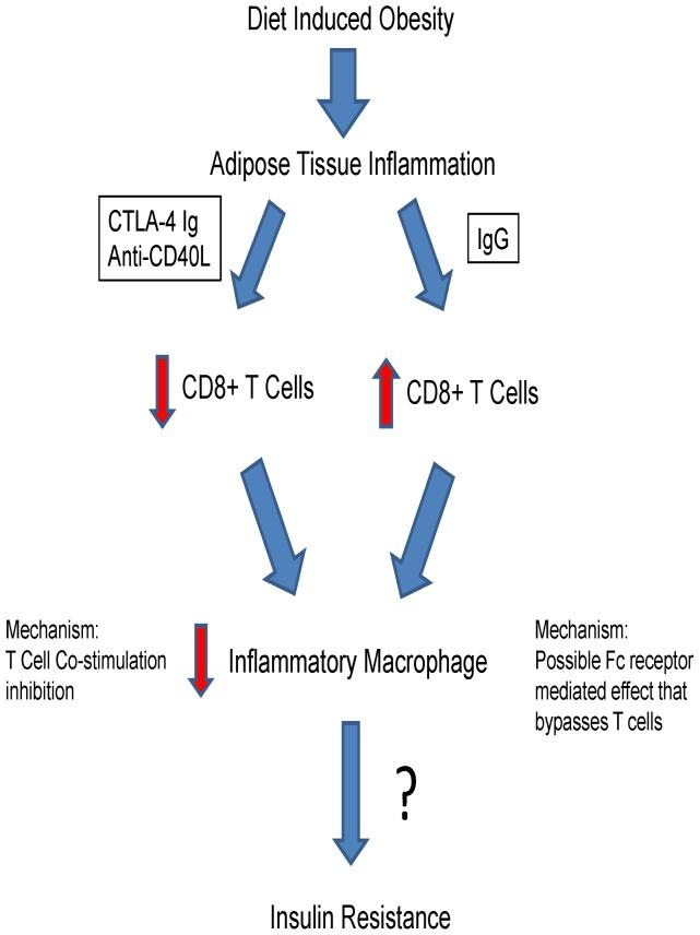 https://cdn.ncbi.nlm.nih.gov/pmc/blobs/988a/3699637/020c4bb3b261/pone.0067709.g009.jpg