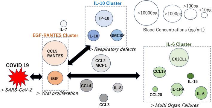 https://cdn.ncbi.nlm.nih.gov/pmc/blobs/988b/11702486/69f43914f2ca/NPR2-45-e12520-g005.jpg