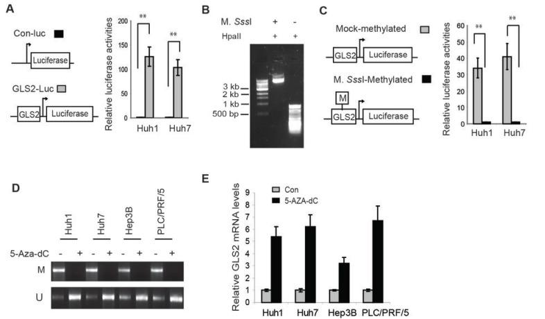 https://cdn.ncbi.nlm.nih.gov/pmc/blobs/988b/4058033/63762139aa0b/oncotarget-05-2635-g007.jpg